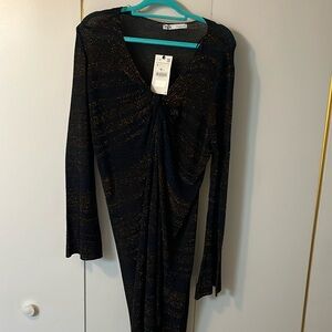 NWT Zara sparkly tunic or dress